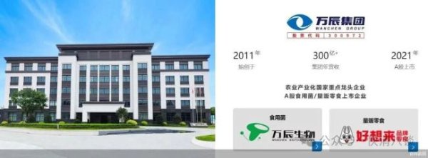 点金网 万辰集团冲击“量贩零食港股第一股”，拟募资加速万店扩张